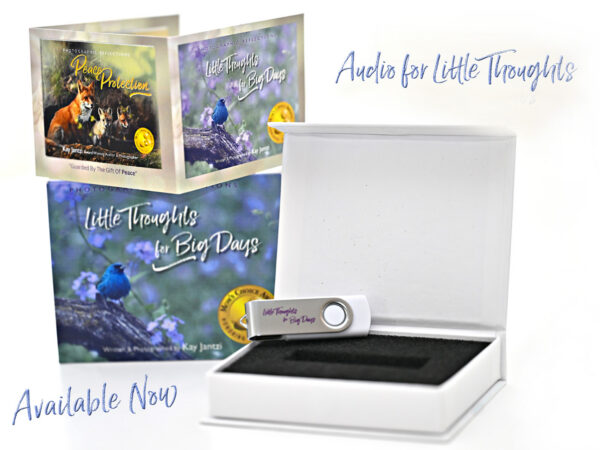 Audio For Little Thoughts