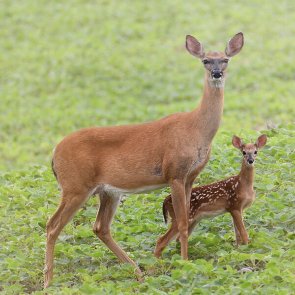 Mommy and Me